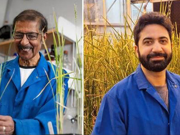 Clone rangers: Meet the two Indians behind the world’s first self-cloning rice