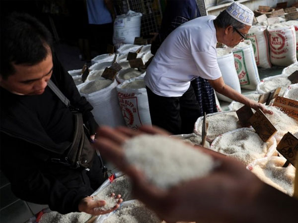 Indonesia to roll out nationwide single rice price in 2026