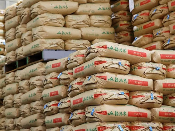 Japan gov't to buy back stockpiled rice over price collapse concerns