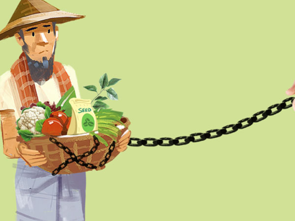 Bangladesh's growing dependence on imported seeds raises food security worries