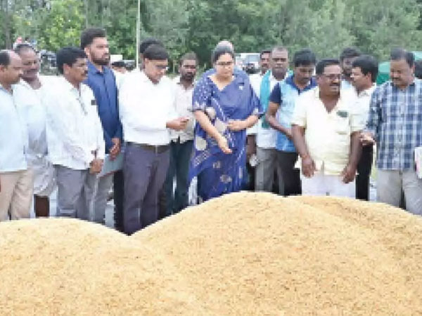 Paddy procurement must be streamlined : DC Abhilasha