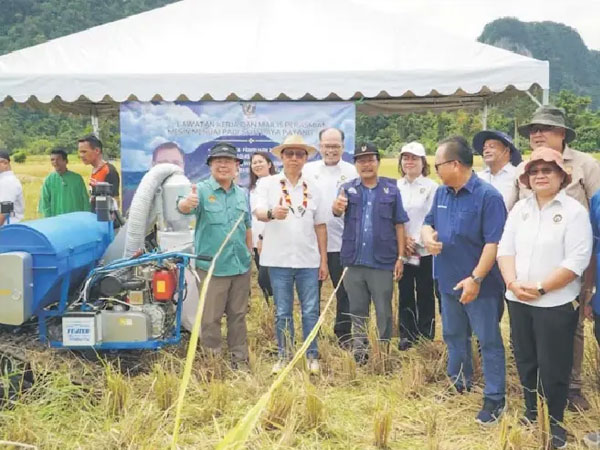 Sarawak considers DBOT model to enhance rice production