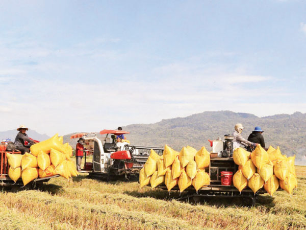 Taking the initiative in global agricultural market