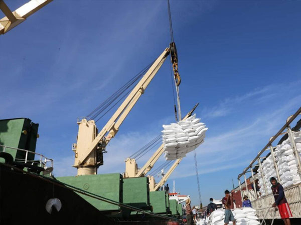 February rice exports fetch $55 million; 11-month earnings reach $790 million