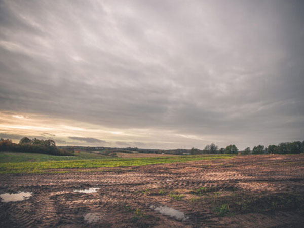 Moisture boost will help MO crops after dry start