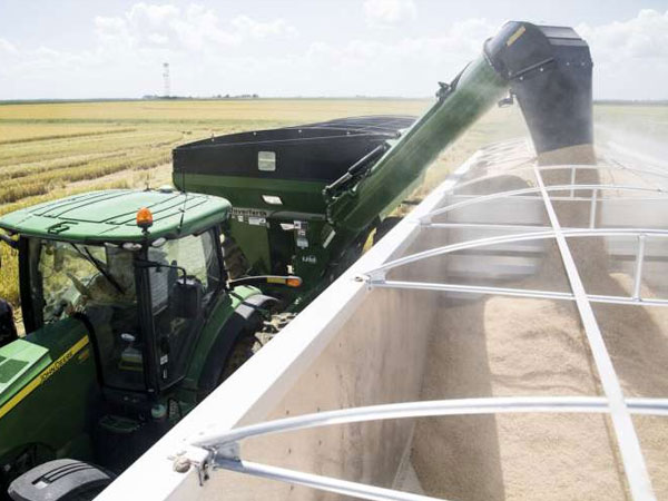 Rice processing research points to evolving milling rates as quality factor
