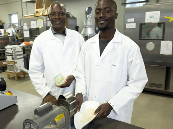 Rice stories from field to future