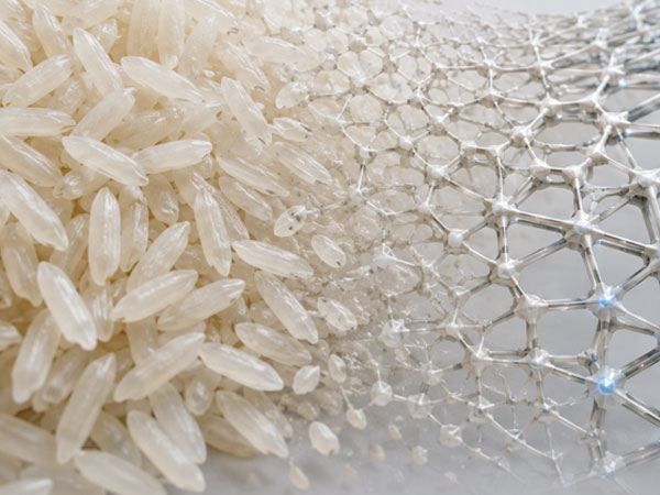 Scientists found an unusual weakness in rice and used it to create a smart material that changes on its own