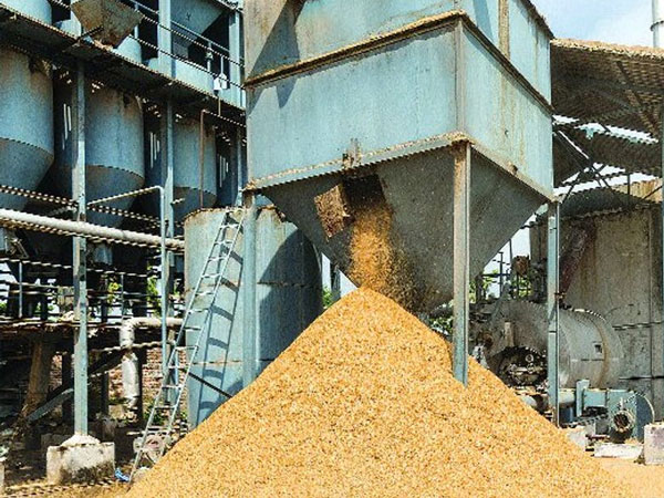 Rice industry sounds alarm over Haryana pollution board norms, opposes closure threat