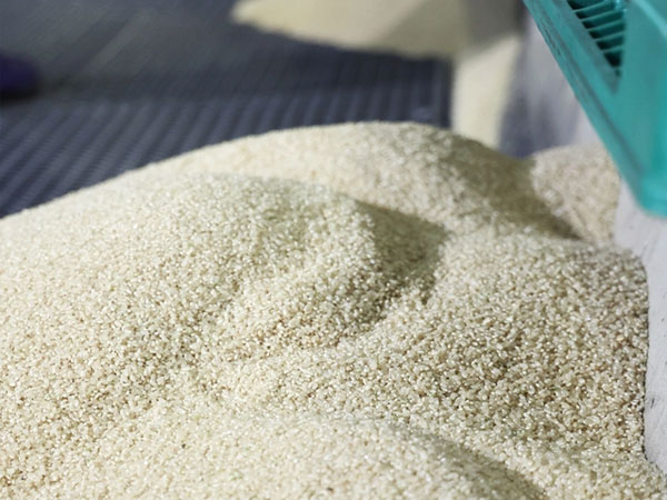 Japan to resume rice purchases for stockpiling