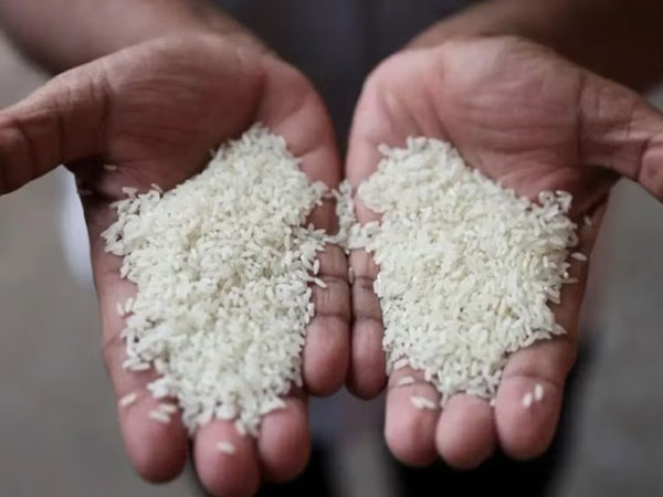 Non-NFSA rice costs may be excluded from food subsidy