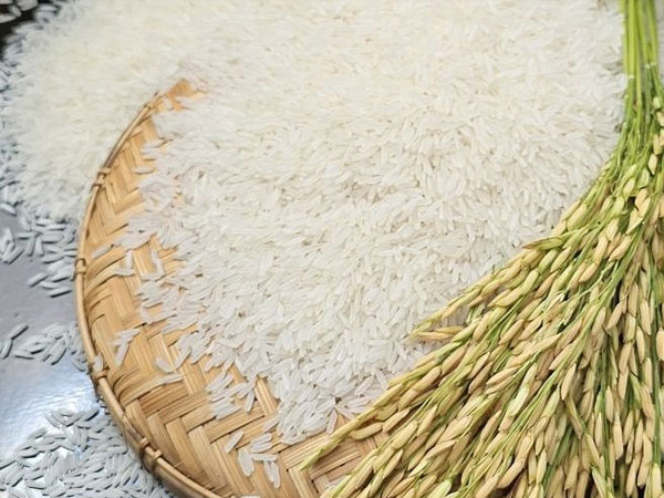 Philippines plans higher rice imports to stabilise supply
