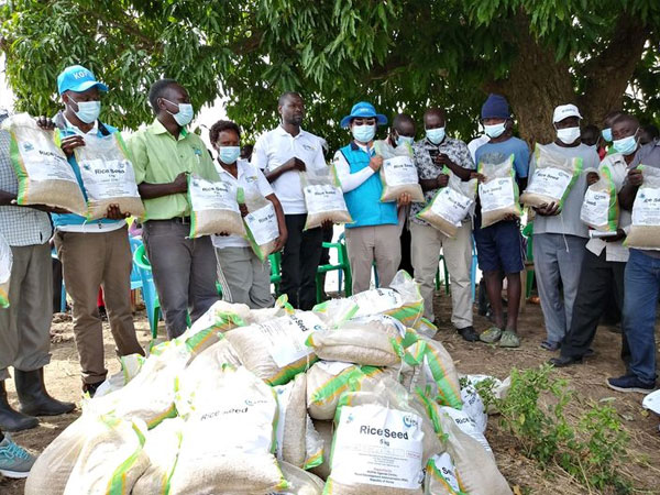 Gov't to produce 11,000 tons of seed rice in Africa by 2027