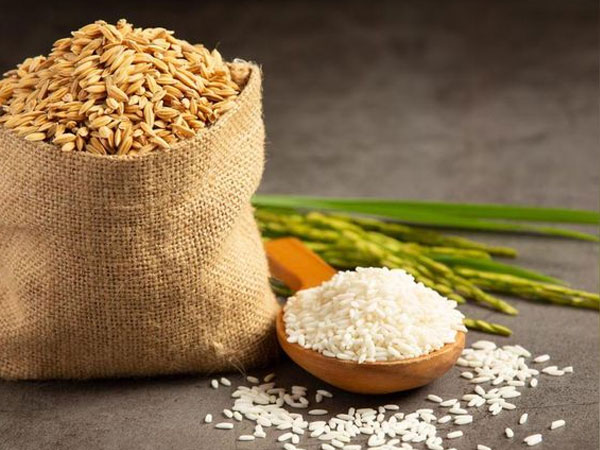 Indian exporter secures US order for 5,000 tonnes basmati rice: IREF
