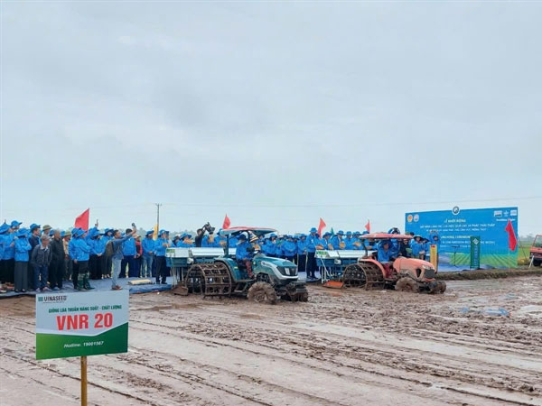 Low emissions to enhance the value of Vietnamese rice: agriculture experts