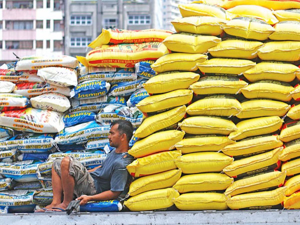 Low local yield seen to trigger bigger rice imports in 2026