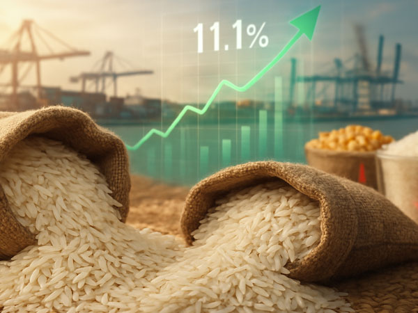 Rice Prices Surge 11.1% as Global Demand Decouples from Corn and Sugar Trends