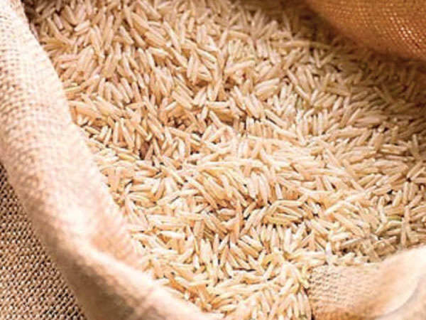 Doha interested in boosting rice imports
