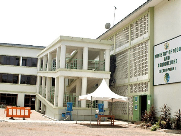 MoFA audit: Tonnes of rice, maize missing - 2 Ghost companies paid GH¢24m