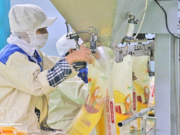 Việt Nam’s rice exports to Senegal surge nearly 30-fold