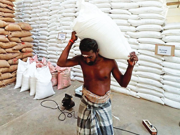 West Asia crisis hits rice exports from MP districts