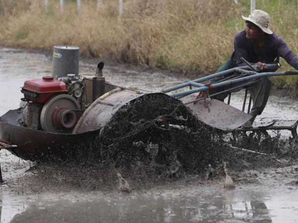 Govt unveils plan to support rice farmers