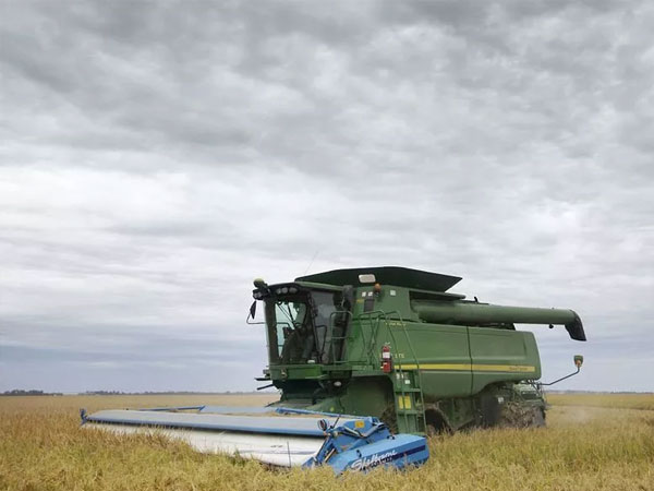 House lawmakers call for rice-specific trade investigation