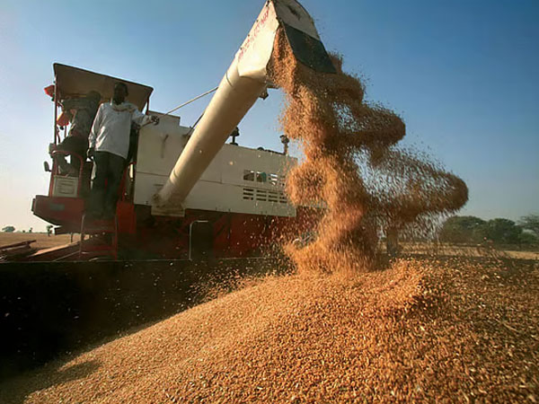 India has adequate wheat and rice stocks, says govt amid West Asia crisis; 1,777 Indians evacuated from Iran