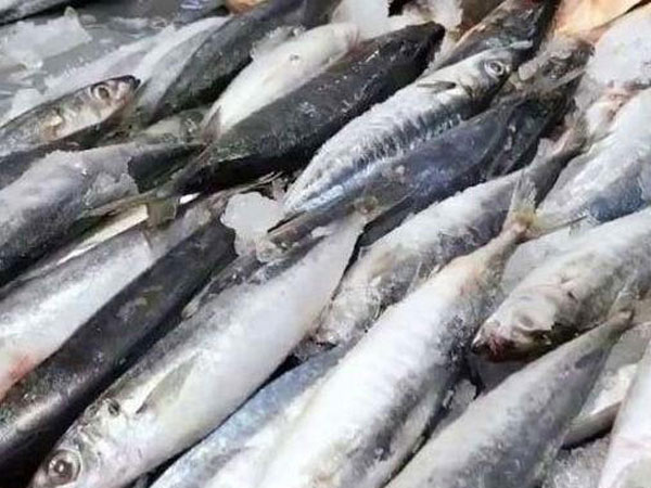 Rice, fish shipments benefit from P1 port fee