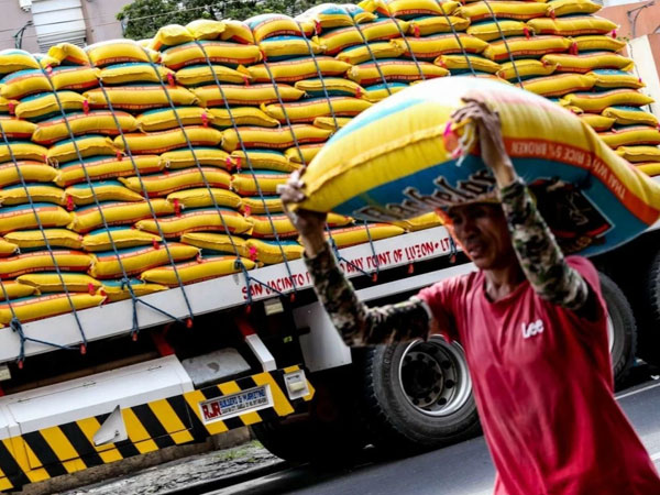 Rice imports jump 37% to 1.26 million MT in Q1 2026