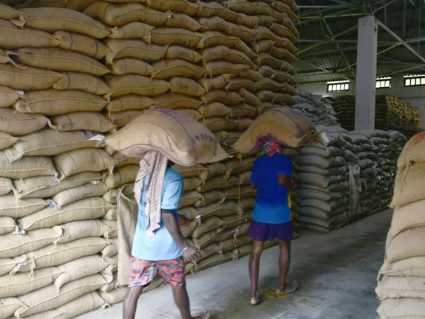 Rice lobby wants EU to impose safeguard mechanisms to save farmers