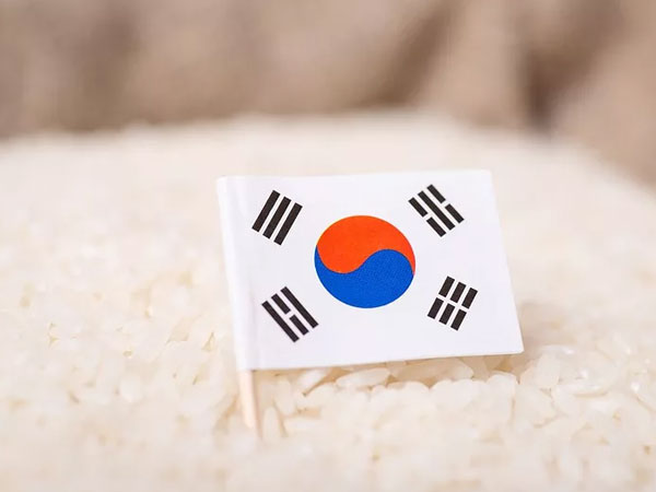 South Korea's rice output to decline for fifth straight year