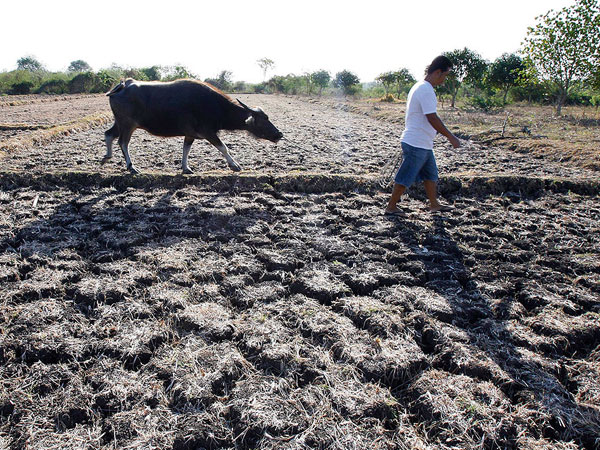 DA preparing for severe dry spell after forecast of ‘strong’ El Niño