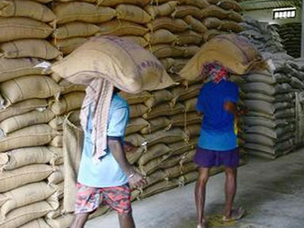 India rice exports decline as Iran war curbs basmati shipments to Gulf