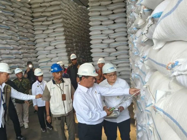 Indonesia records highest rice stocks in history: minister