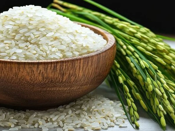 Is Bangladesh’s rice bowl under threat?