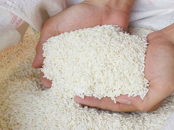 Rice exports fall 6% in April as war disrupts basmati shipments