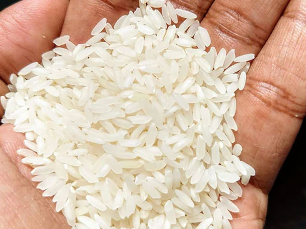 West Bengal rice industry seeks better infrastructure, export push from new BJP government