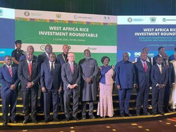 Accra roundtable calls for increased financing for West Africa's rice industry