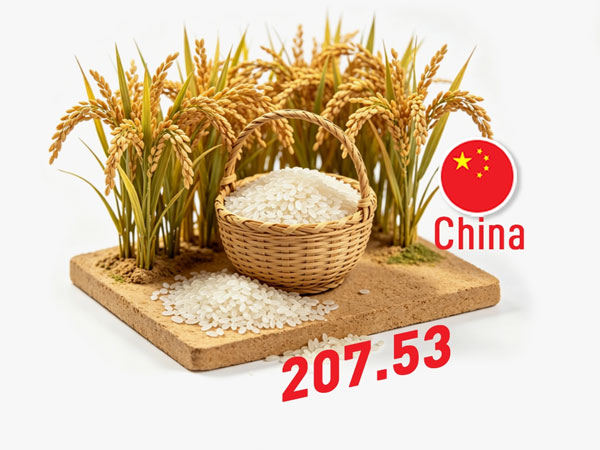 China and India produce half of world's rice