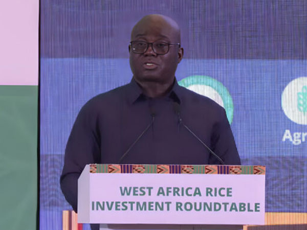 Government to tie rice imports to local production in major policy shift