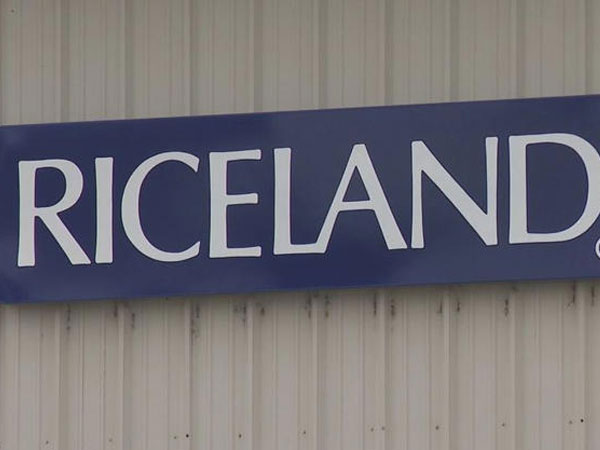 Riceland temporarily closing 9 drying facilities after plummet in rice planting