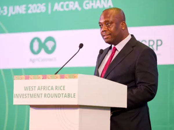 US$4bn rice imports by West African countries untenable – Dep. Finance Minister