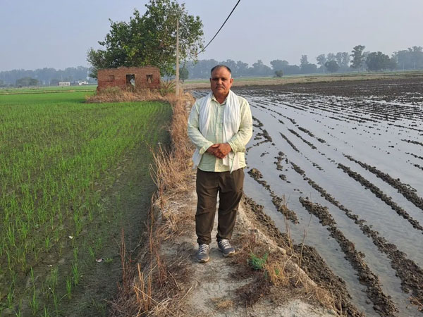 In El Niño year, direct seeded rice finds traction with farmers