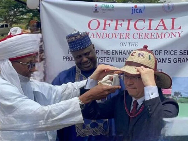 Japan commits $3.5m grant to boost Nigeria’s rice seed production