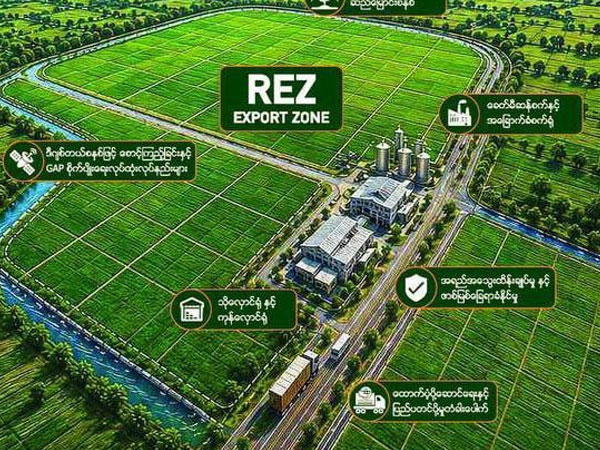 Seminar on electric power technology for rice mills to be held