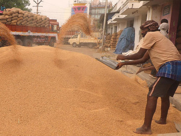 TN has excess paddy stocks, Kuruvai crop failure won't push up rice prices, say mill owners