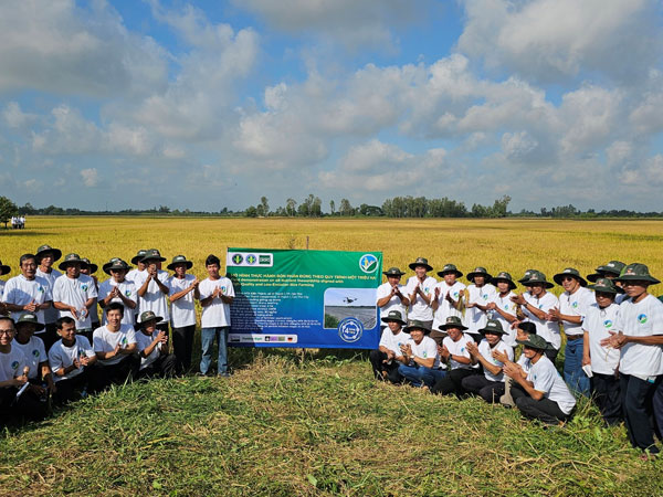 IRRI Supports Can Tho’s Transition from Pilot Fields to Large-Scale Low-Emission Rice Production Zones