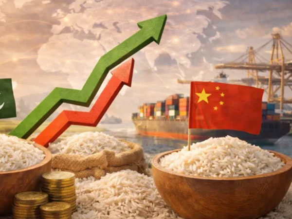 Pakistan $1.5B Hybrid Rice Market in China