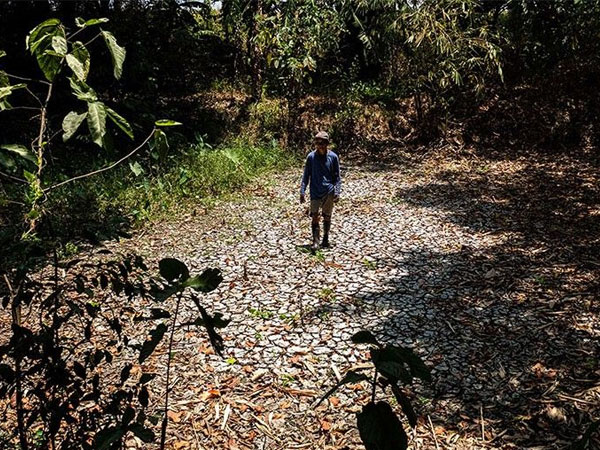 Philippines most vulnerable in ASEAN to El Niño
